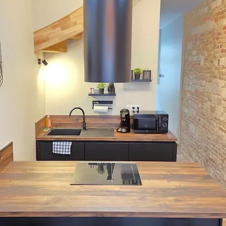 Maison 4 I Jacuzzi I Netflix I 10 Couchages Max I Centre * Saint-Omer (Pas-de-Calais)
