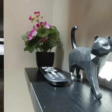 Maison 4 I Jacuzzi I Netflix I 10 Couchages Max I Centre * Saint-Omer (Pas-de-Calais)